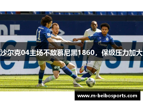 沙尔克04主场不敌慕尼黑1860，保级压力加大