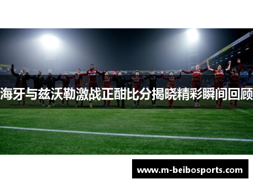 海牙与兹沃勒激战正酣比分揭晓精彩瞬间回顾