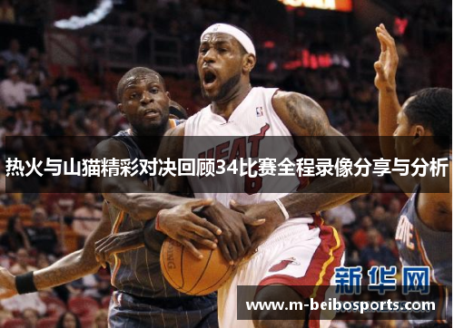 热火与山猫精彩对决回顾34比赛全程录像分享与分析